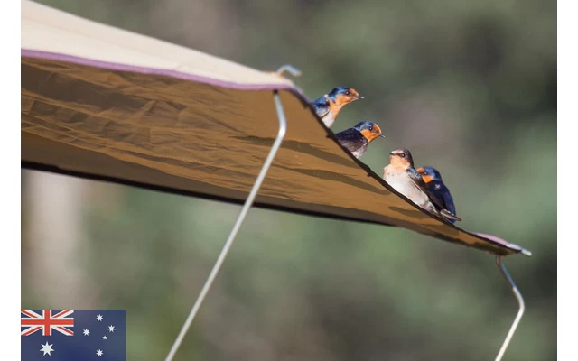 Gordigear Dachzelt Plus Für 4 Personen Mit Staufläche 180 X 320 Cm Grün â Bild 2